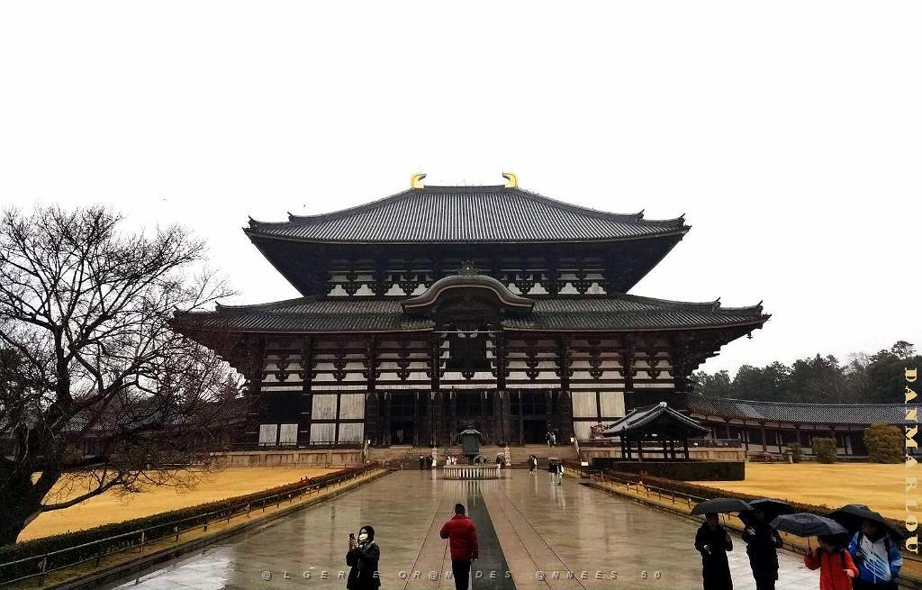 NARA - Temple Todai-Ji - 18.01.2024 -21.jpg